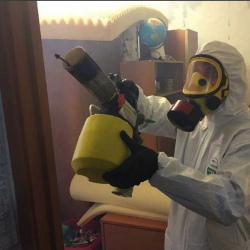 Уничтожение клопов в квартире. Старокачаловская
